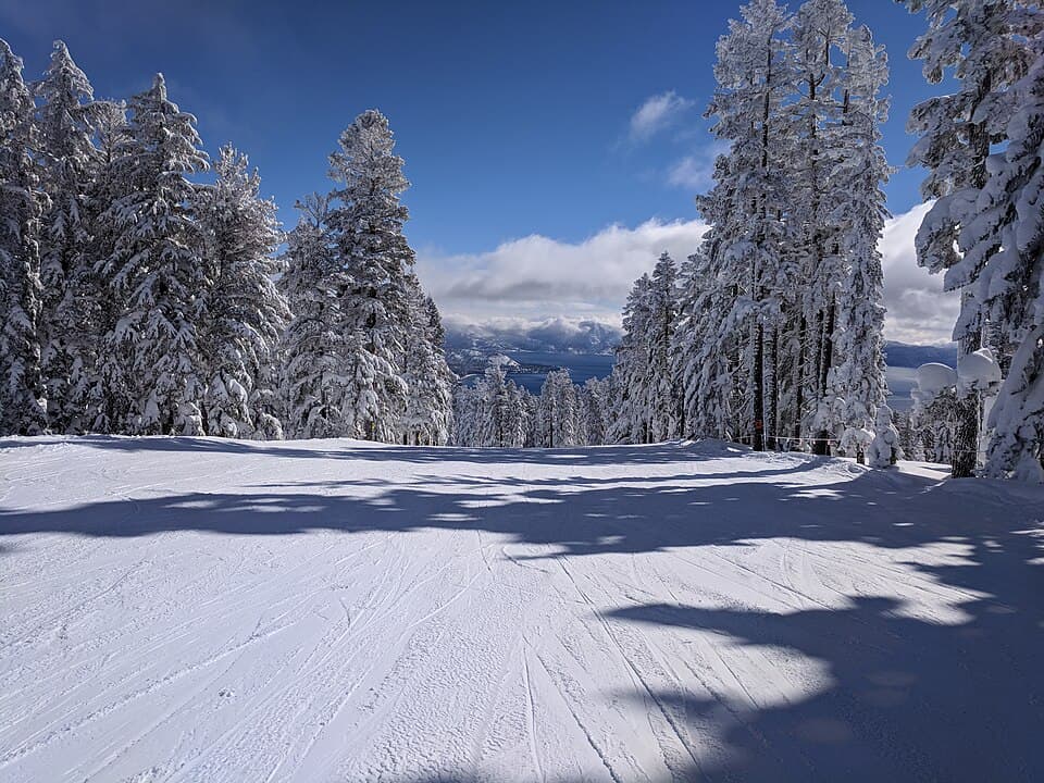 Freshly groomed run on Northstar's East Ridge lined with snow-loaded pines, opening onto the north shore of Lake Tahoe under a blue sky.
